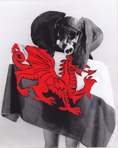 Welshcake - Paint Copy 2